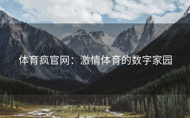 体育疯官网：激情体育的数字家园