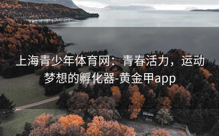 上海青少年体育网：青春活力，运动梦想的孵化器-黄金甲app