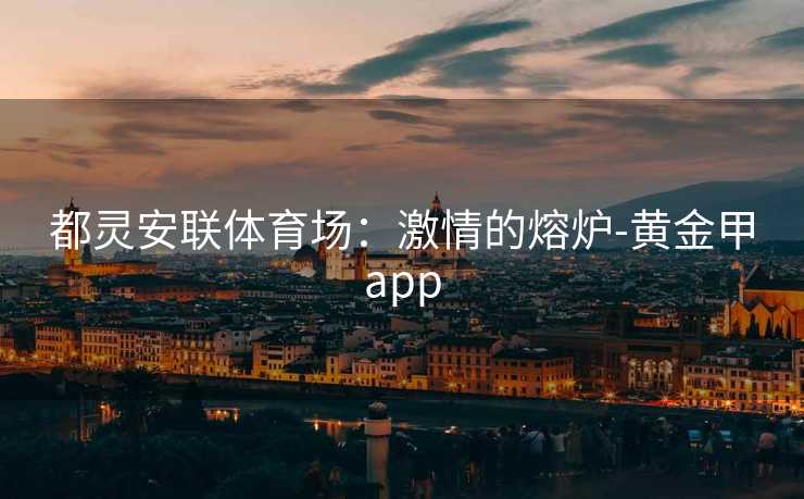 都灵安联体育场：激情的熔炉-黄金甲app