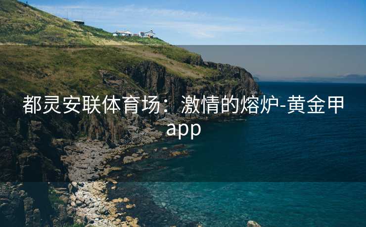 都灵安联体育场：激情的熔炉-黄金甲app