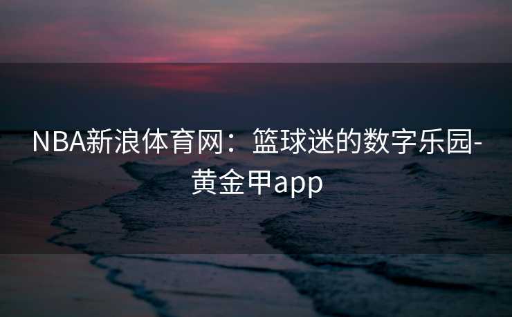 NBA新浪体育网：篮球迷的数字乐园-黄金甲app