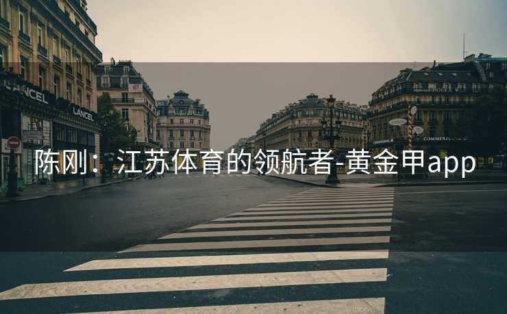 陈刚：江苏体育的领航者-黄金甲app