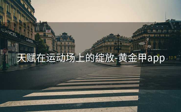 天赋在运动场上的绽放-黄金甲app