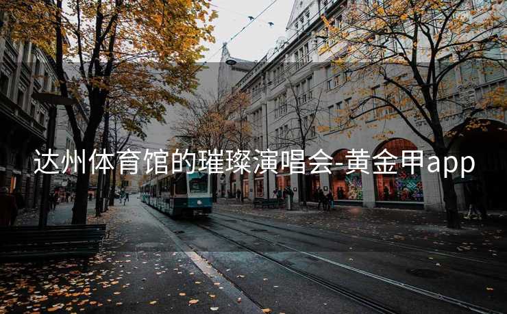 达州体育馆的璀璨演唱会-黄金甲app