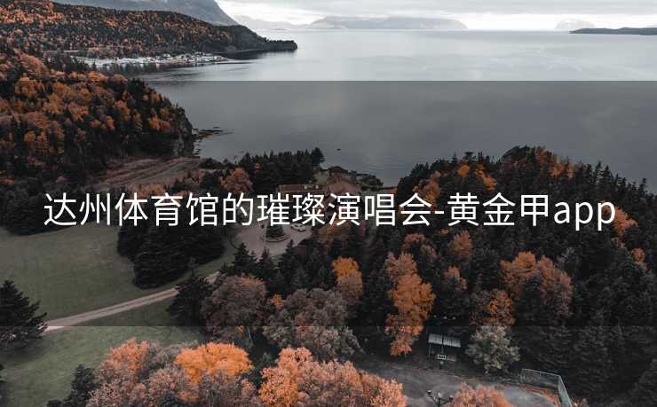 达州体育馆的璀璨演唱会-黄金甲app
