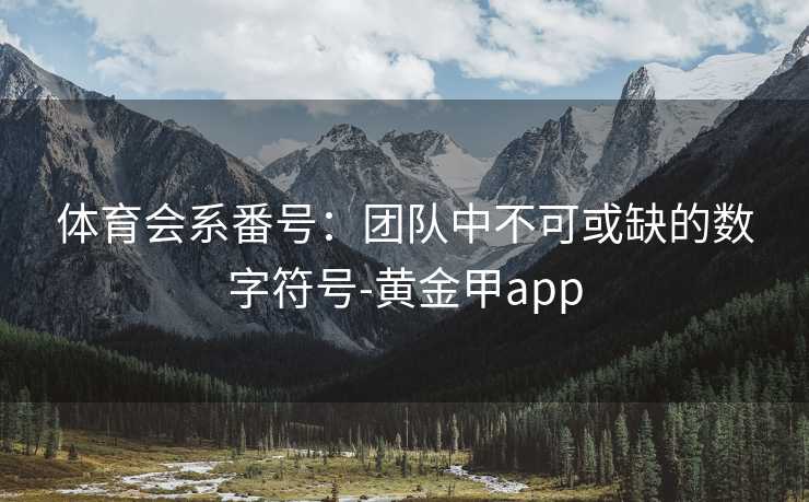 体育会系番号：团队中不可或缺的数字符号-黄金甲app