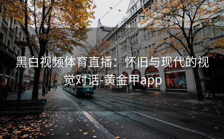 黑白视频体育直播：怀旧与现代的视觉对话-黄金甲app