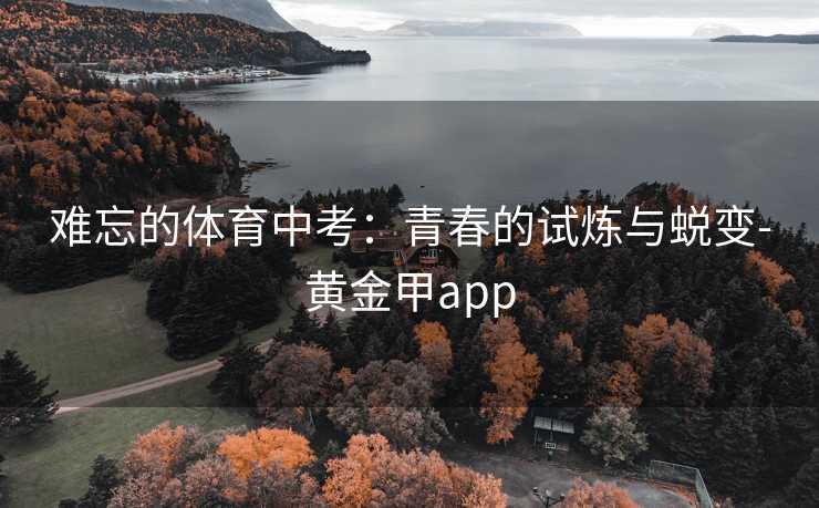 难忘的体育中考：青春的试炼与蜕变-黄金甲app