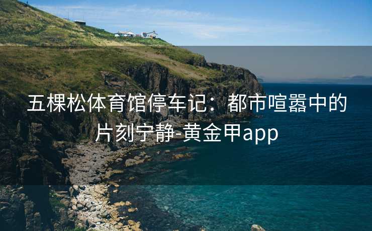 五棵松体育馆停车记：都市喧嚣中的片刻宁静-黄金甲app