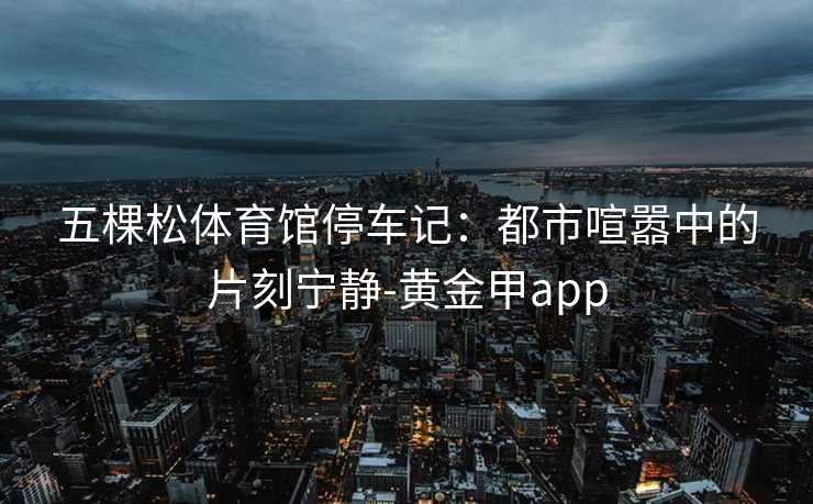 五棵松体育馆停车记：都市喧嚣中的片刻宁静-黄金甲app