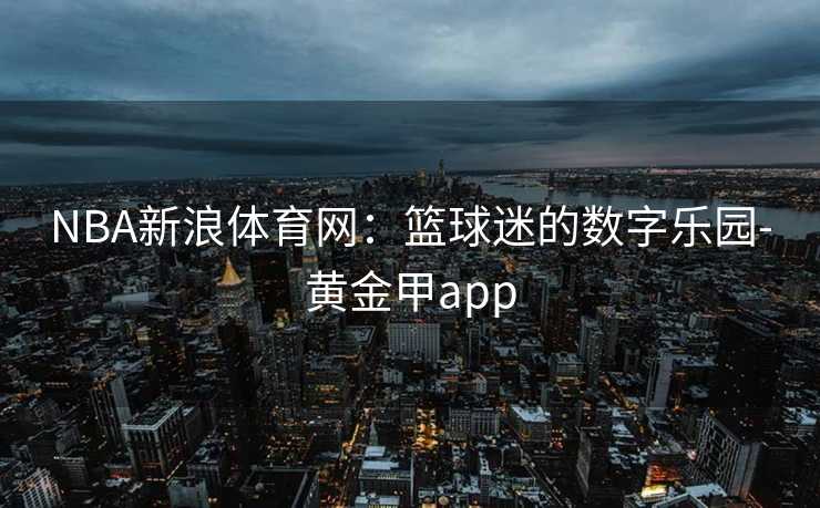 NBA新浪体育网：篮球迷的数字乐园-黄金甲app