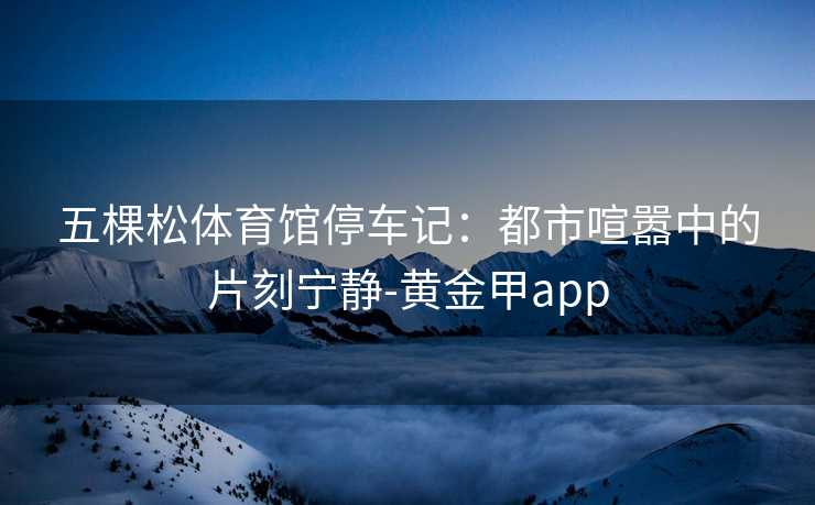 五棵松体育馆停车记：都市喧嚣中的片刻宁静-黄金甲app