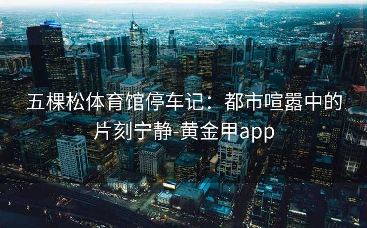 五棵松体育馆停车记：都市喧嚣中的片刻宁静-黄金甲app