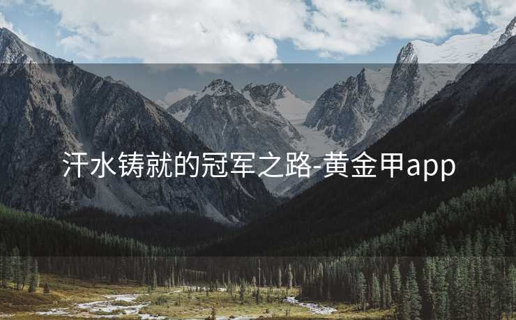 汗水铸就的冠军之路-黄金甲app