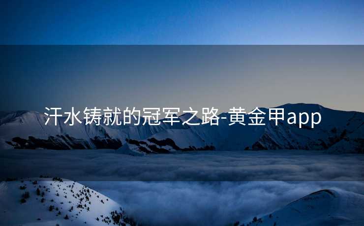 汗水铸就的冠军之路-黄金甲app