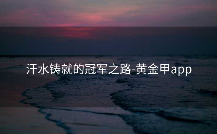 汗水铸就的冠军之路-黄金甲app