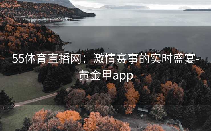 55体育直播网：激情赛事的实时盛宴-黄金甲app