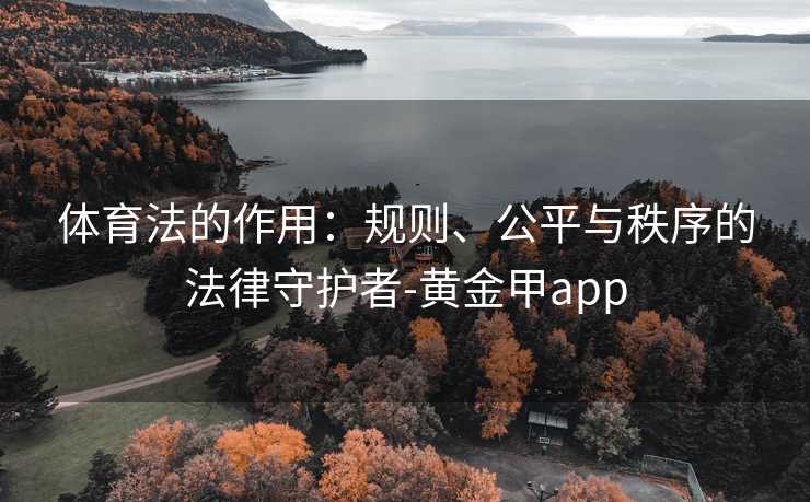 体育法的作用：规则、公平与秩序的法律守护者-黄金甲app