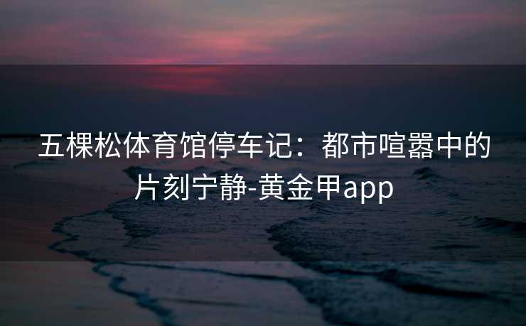 五棵松体育馆停车记：都市喧嚣中的片刻宁静-黄金甲app