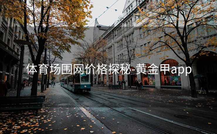 体育场围网价格探秘-黄金甲app
