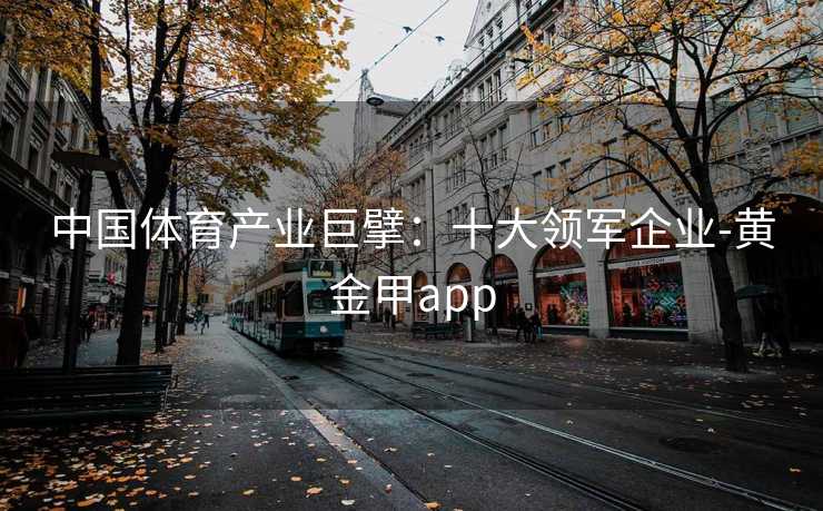中国体育产业巨擘：十大领军企业-黄金甲app