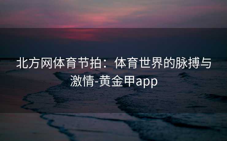 北方网体育节拍：体育世界的脉搏与激情-黄金甲app