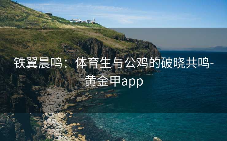 铁翼晨鸣：体育生与公鸡的破晓共鸣-黄金甲app