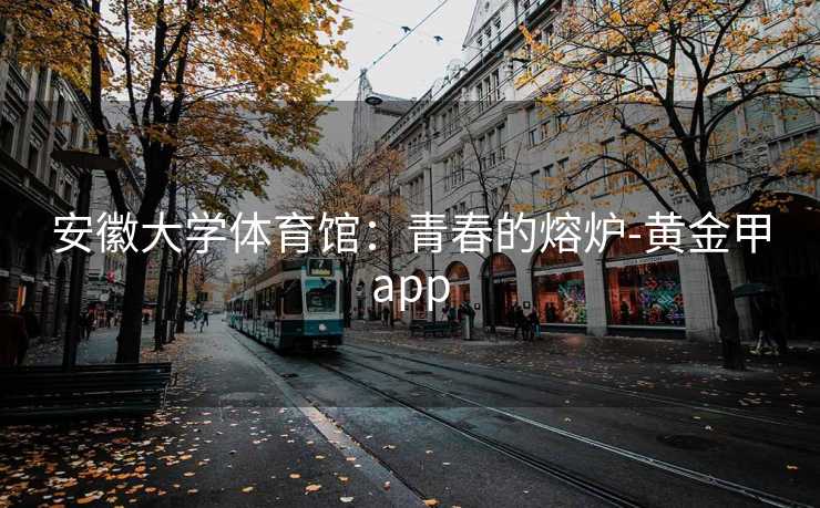 安徽大学体育馆：青春的熔炉-黄金甲app