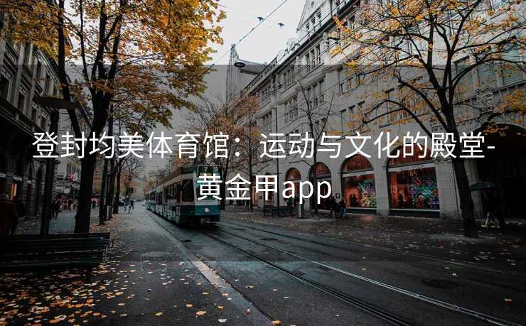 登封均美体育馆：运动与文化的殿堂-黄金甲app