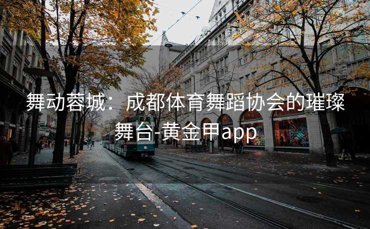 舞动蓉城：成都体育舞蹈协会的璀璨舞台-黄金甲app
