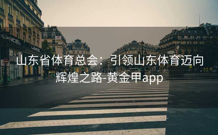 山东省体育总会：引领山东体育迈向辉煌之路-黄金甲app