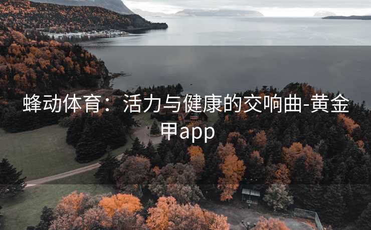 蜂动体育：活力与健康的交响曲-黄金甲app