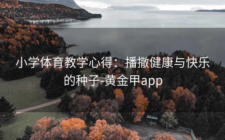 小学体育教学心得：播撒健康与快乐的种子-黄金甲app