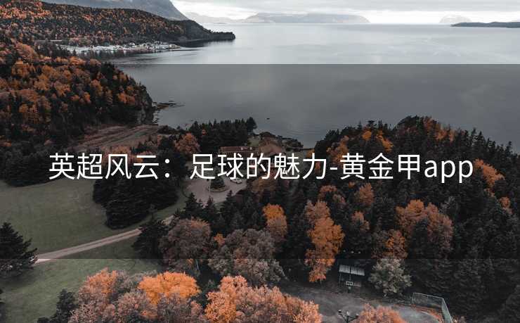 英超风云：足球的魅力-黄金甲app