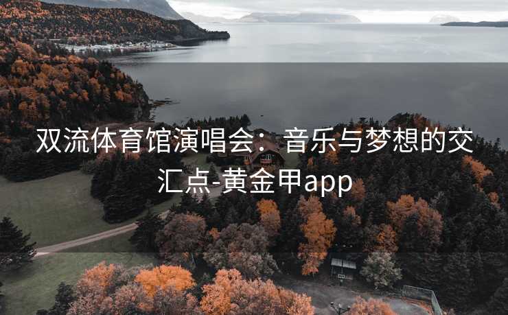 双流体育馆演唱会：音乐与梦想的交汇点-黄金甲app