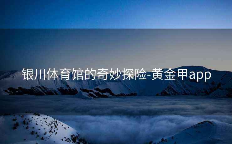 银川体育馆的奇妙探险-黄金甲app