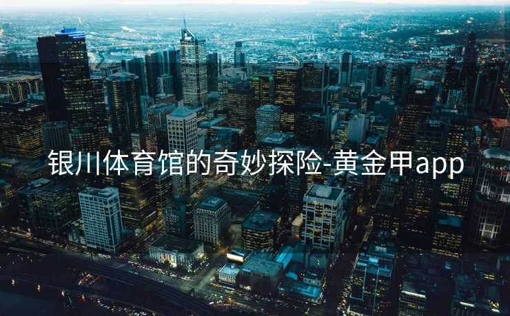 银川体育馆的奇妙探险-黄金甲app