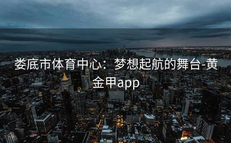 娄底市体育中心：梦想起航的舞台-黄金甲app