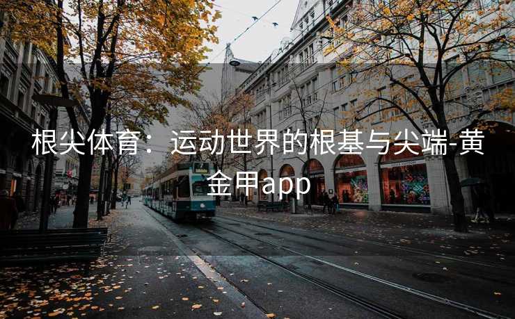 根尖体育：运动世界的根基与尖端-黄金甲app