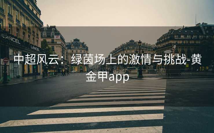 中超风云：绿茵场上的激情与挑战-黄金甲app