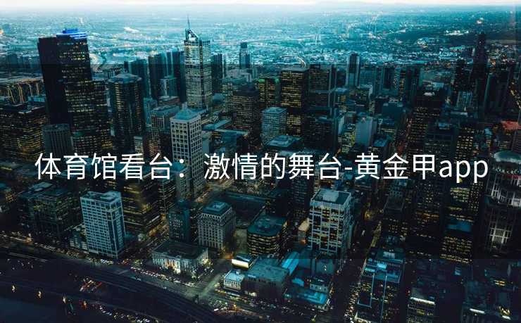 体育馆看台：激情的舞台-黄金甲app