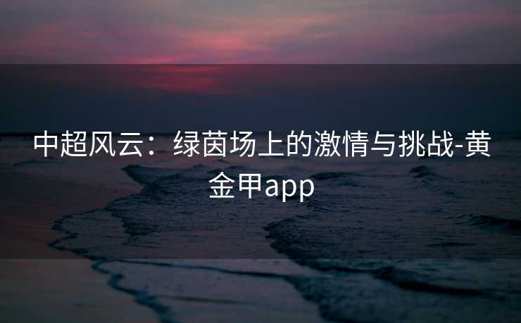 中超风云：绿茵场上的激情与挑战-黄金甲app