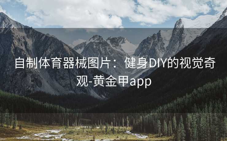自制体育器械图片：健身DIY的视觉奇观-黄金甲app