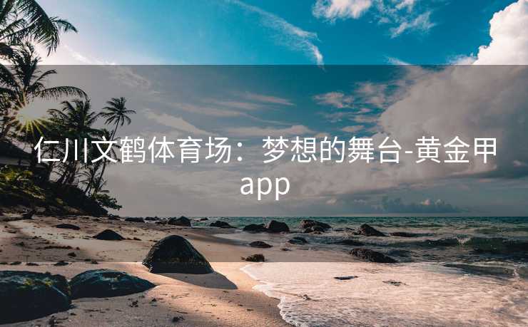 仁川文鹤体育场：梦想的舞台-黄金甲app