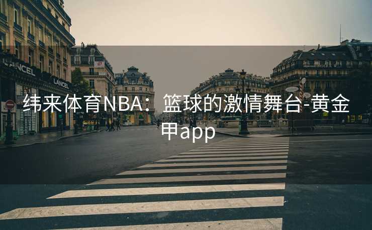 纬来体育NBA：篮球的激情舞台-黄金甲app
