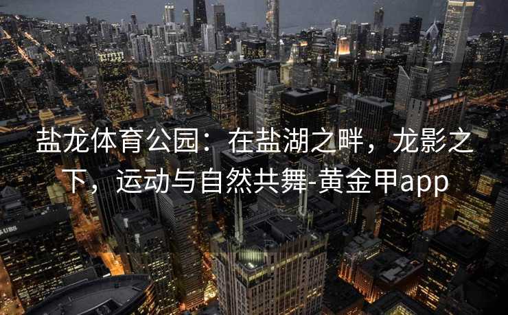 盐龙体育公园：在盐湖之畔，龙影之下，运动与自然共舞-黄金甲app