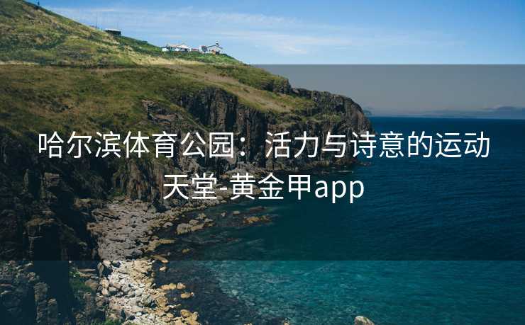 哈尔滨体育公园：活力与诗意的运动天堂-黄金甲app