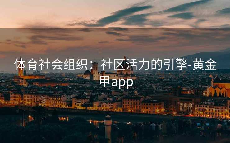 体育社会组织：社区活力的引擎-黄金甲app