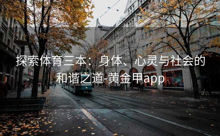 探索体育三本：身体、心灵与社会的和谐之道-黄金甲app