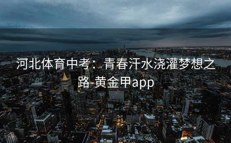 河北体育中考：青春汗水浇灌梦想之路-黄金甲app